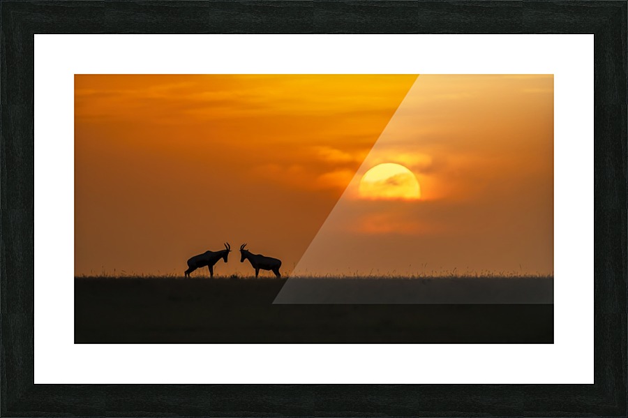 At The Sunset Picture Frame print