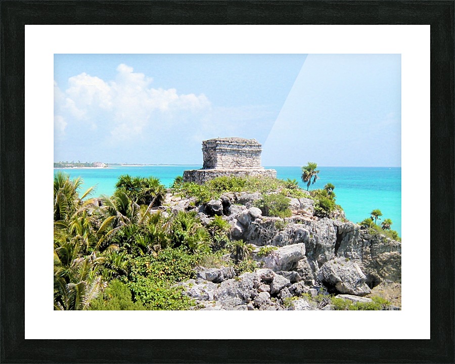 Tropical2 Picture Frame print