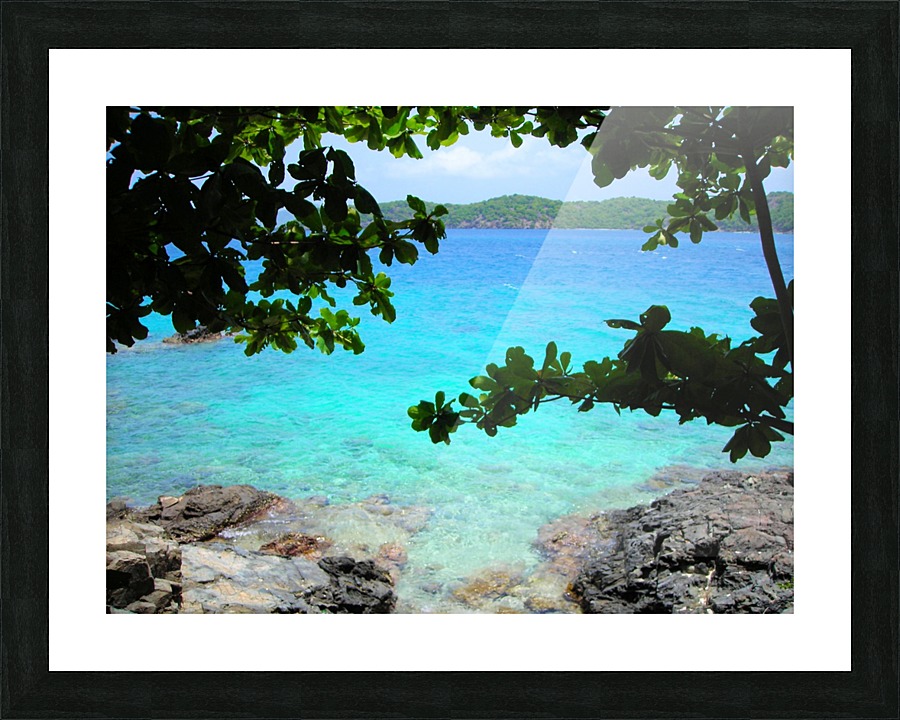 Tropical13 Picture Frame print