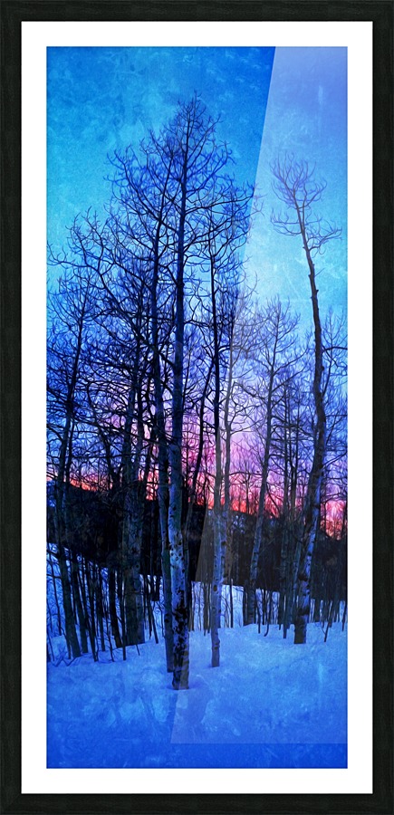  Fine Art print