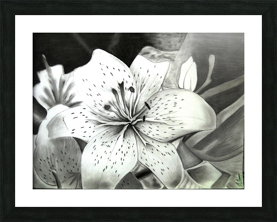  Fine Art print