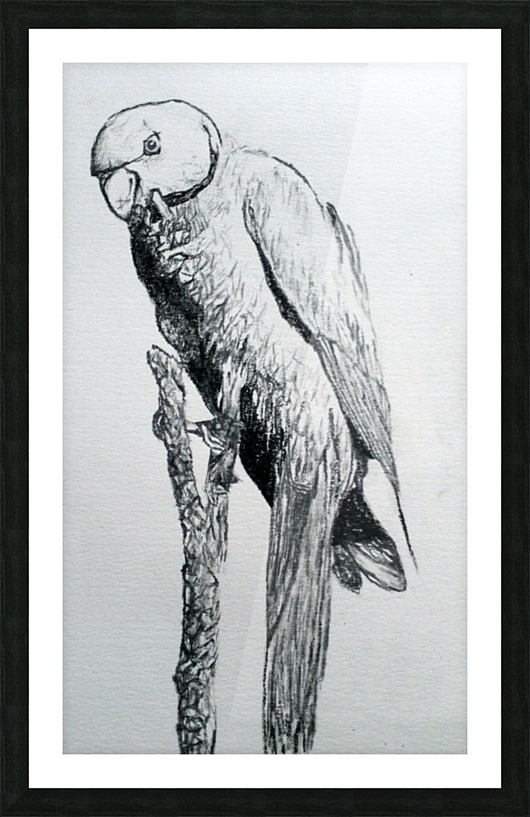  Fine Art print