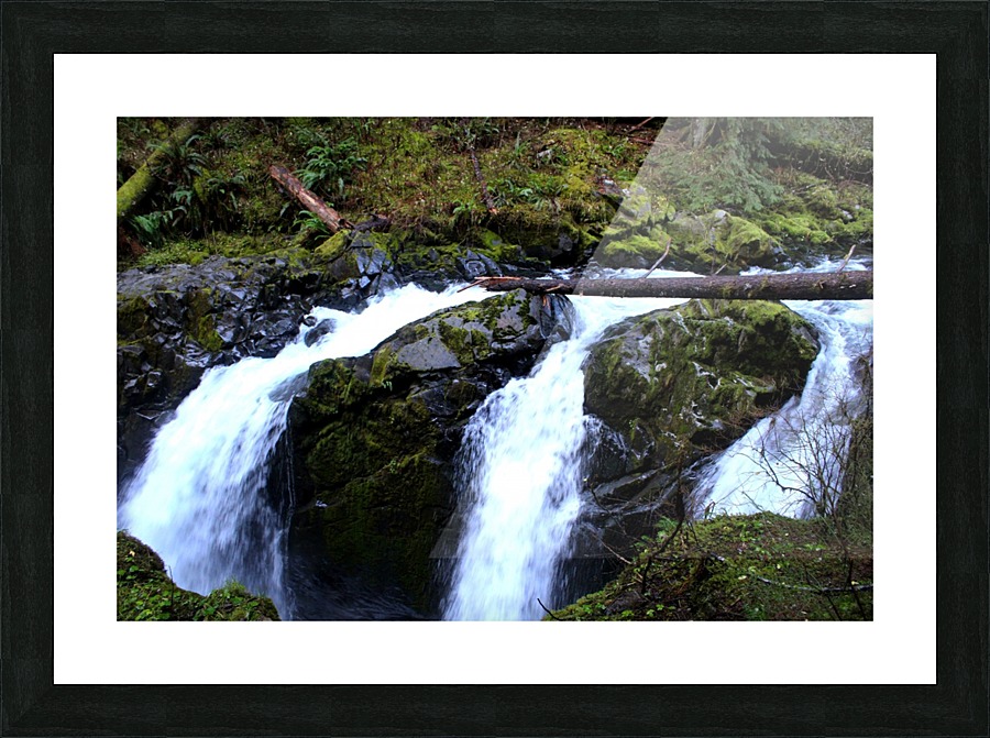 Greenery Picture Frame print