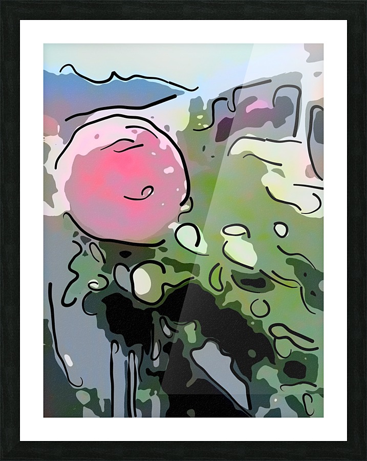 Pink Rose Garden on Braddock Drive Picture Frame print