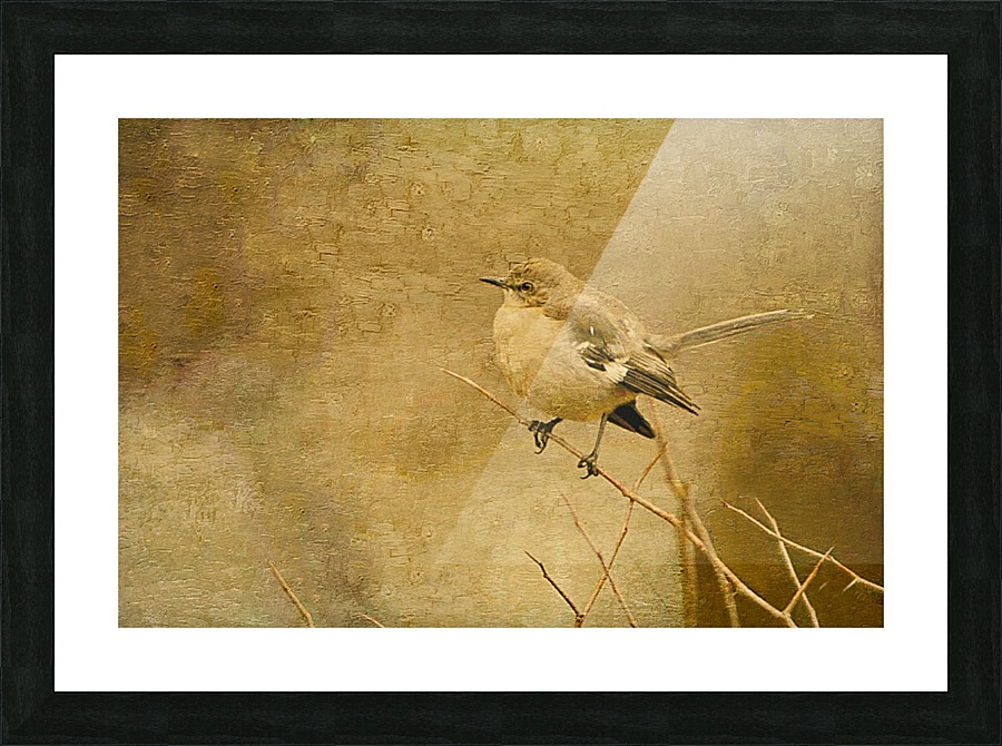 Mockingbird Canvas Picture Frame print