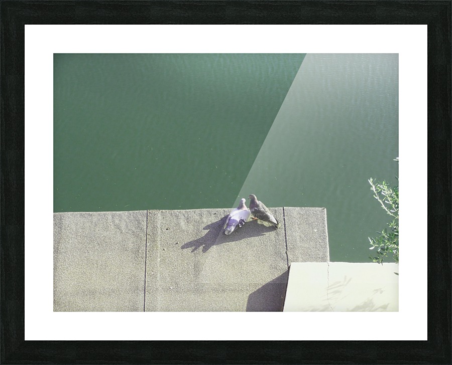  Fine Art print