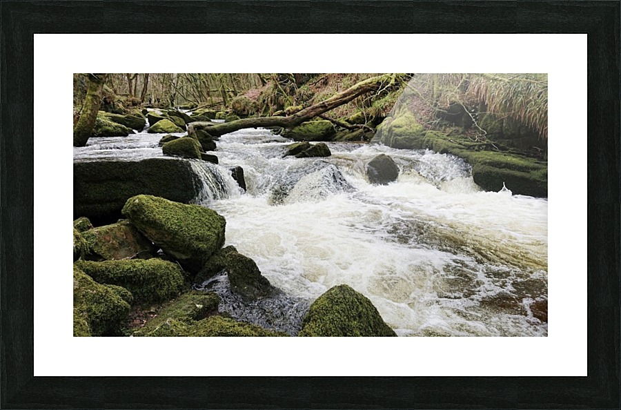 JPT 887F 2 Picture Frame print