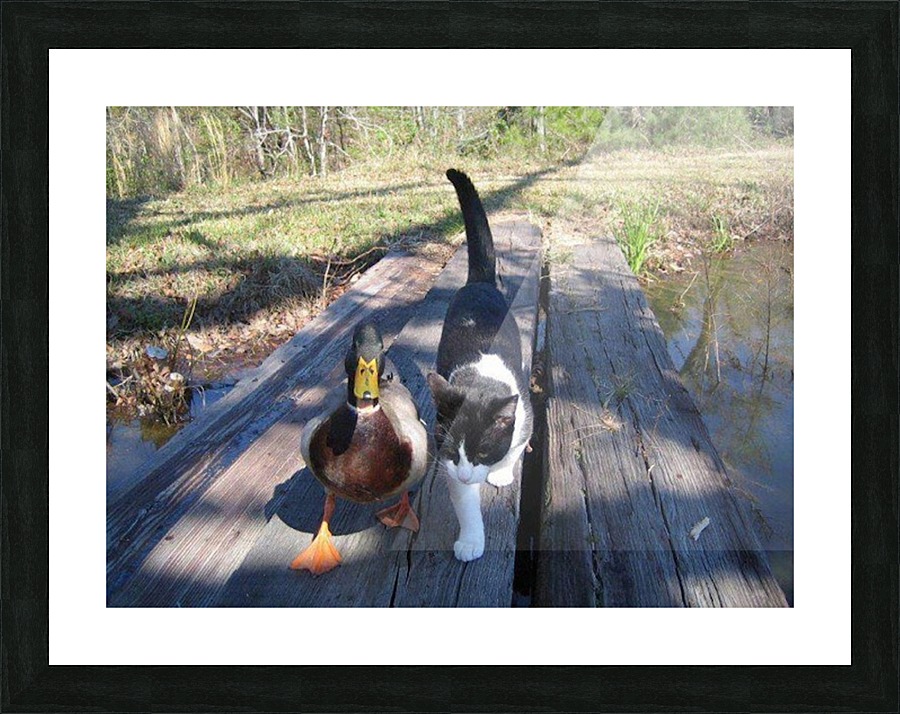 JPT 2012  Picture Frame print