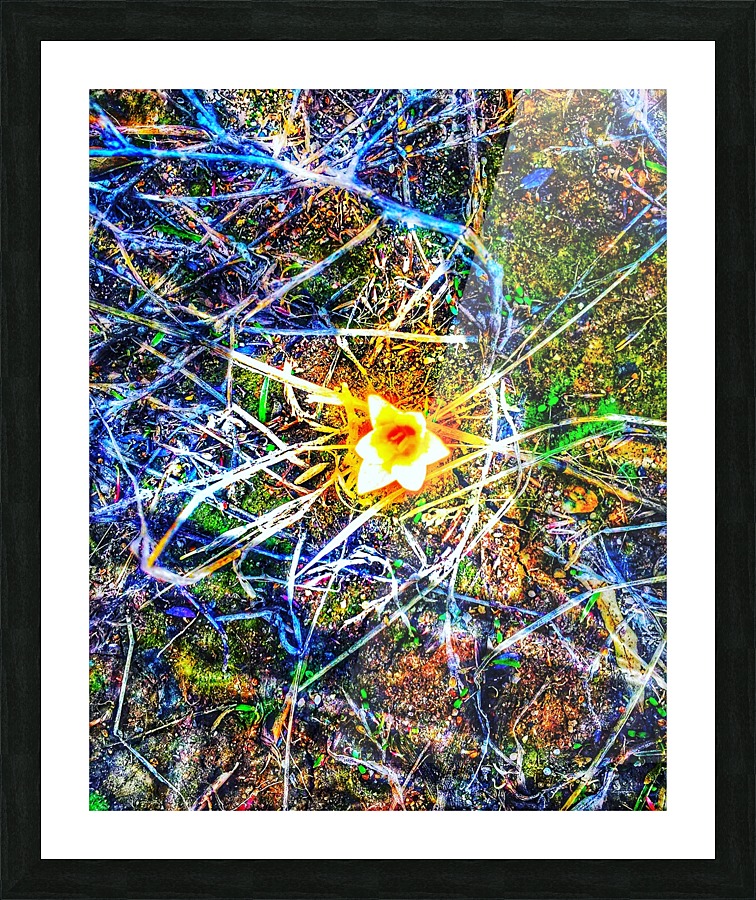 There is a magic in universe Snowdrop Picture Frame print