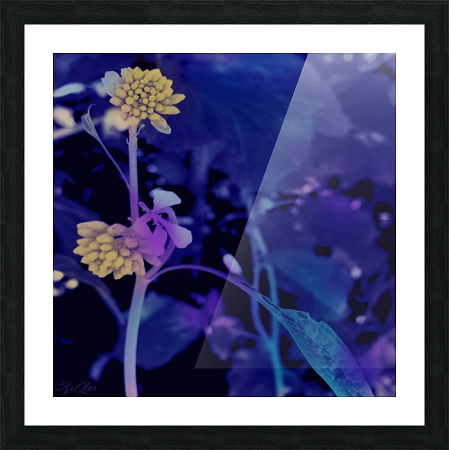  Fine Art print
