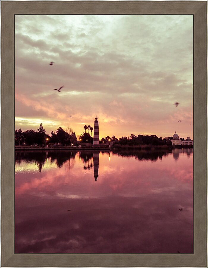 20190212 IMG_3260 Picture Frame print