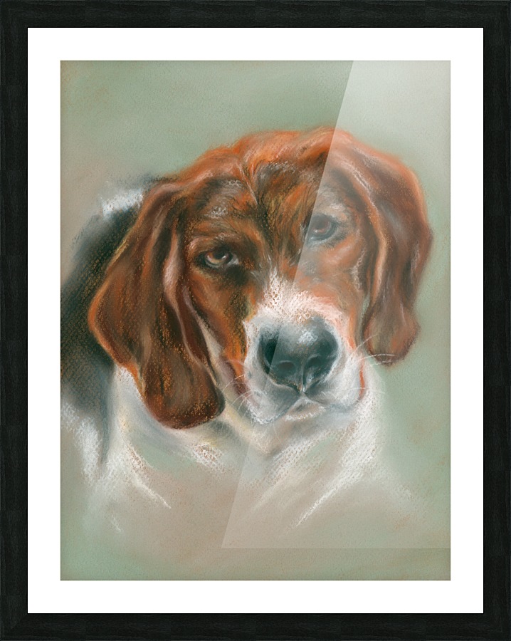 Basset Hound Mix Pup Mm Anderson Canvas