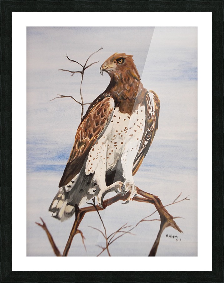 Martial Eagle Hazel Calpee Canvas Artwork