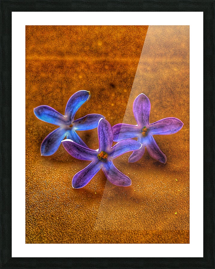 Luck Picture Frame print