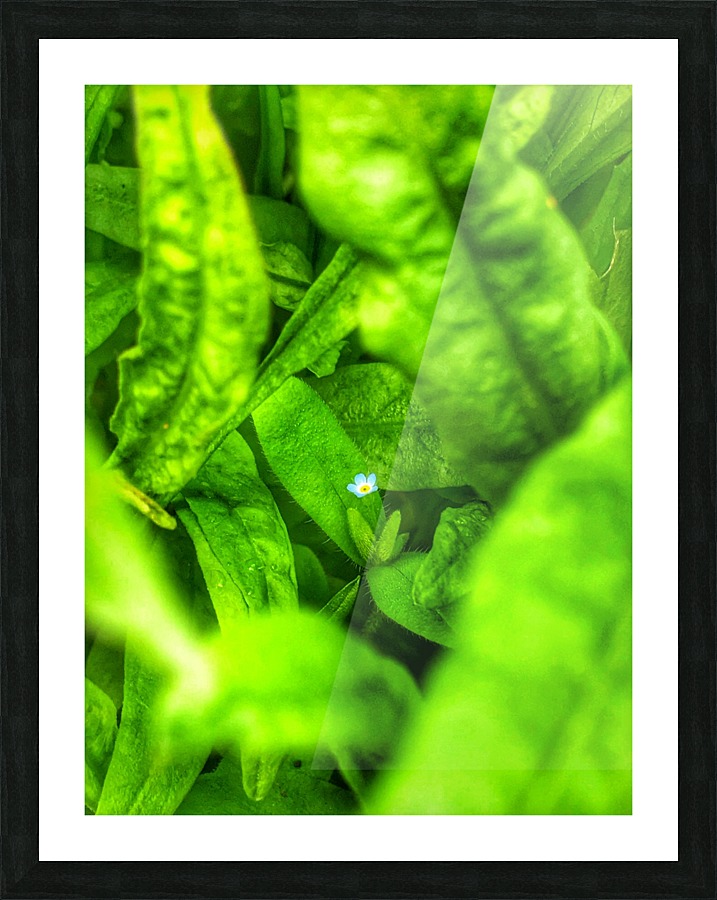 Fragile  Picture Frame print