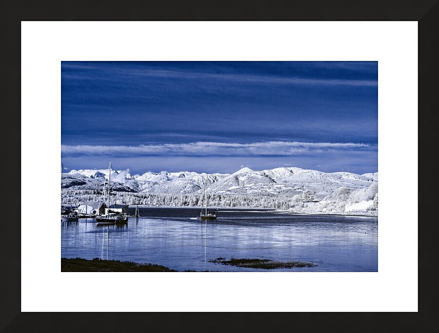 Peaceful Harbour  Framed Print Print