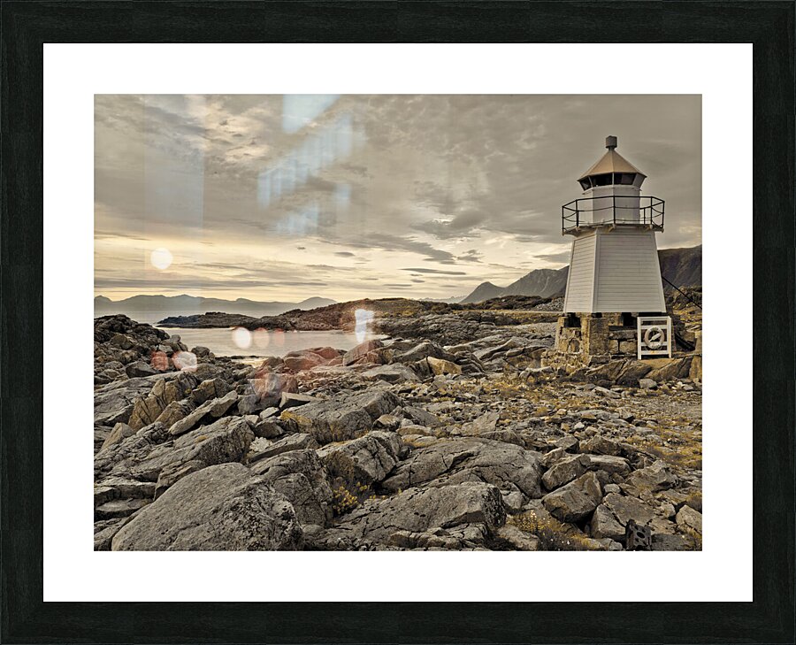  Fine Art print