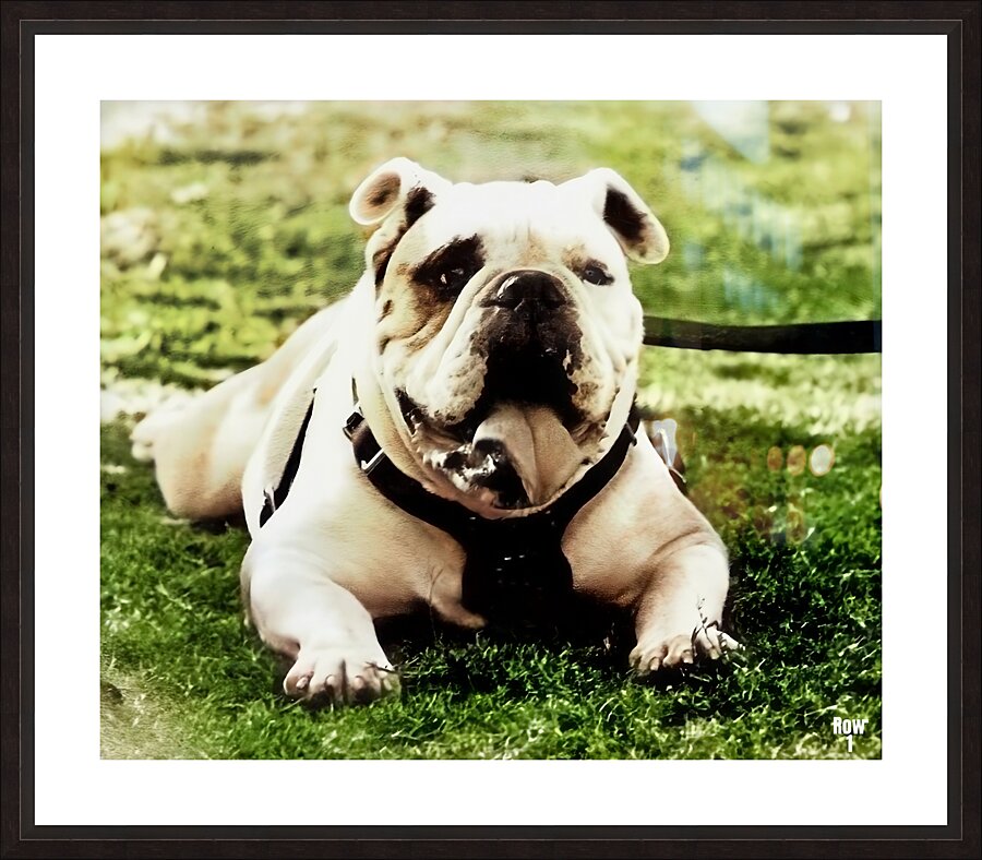 1980s bully mascot art  Picture Frame print