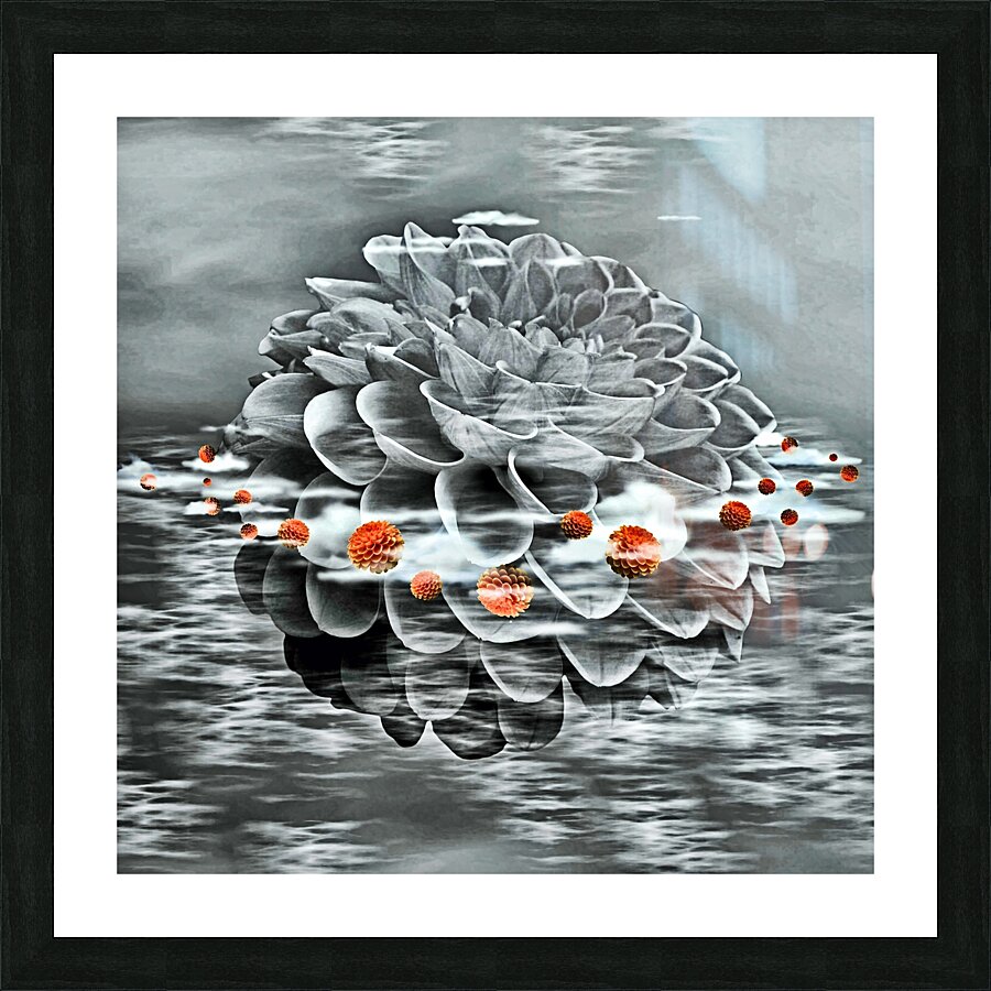  Fine Art print