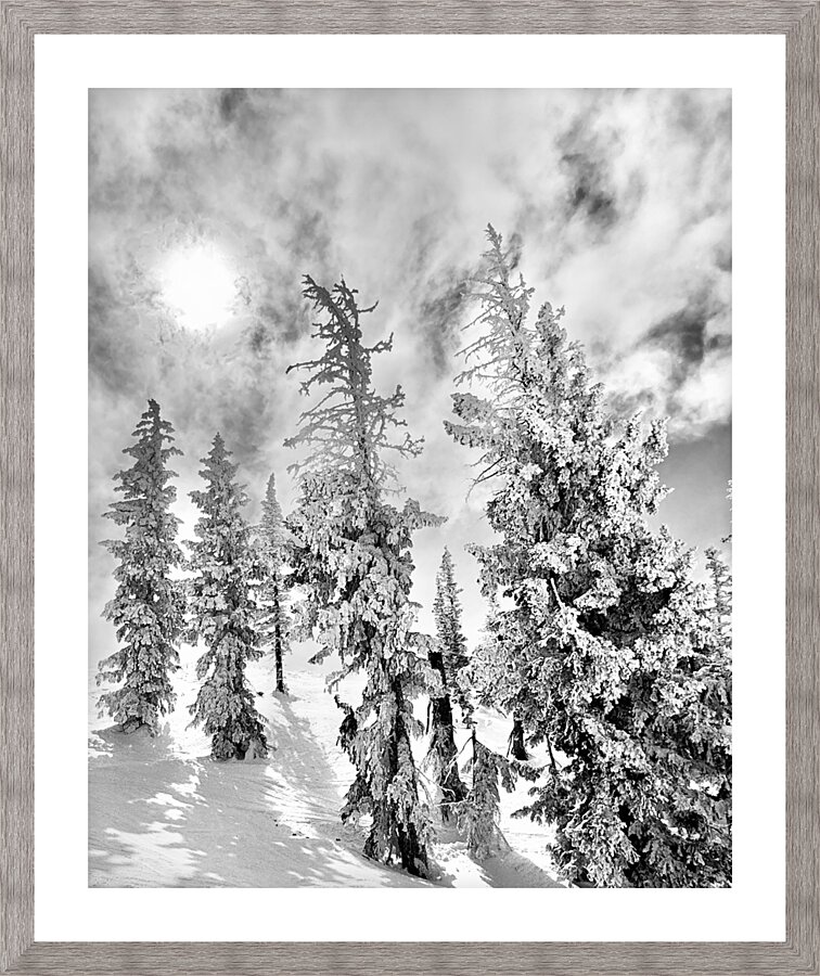 Frozen Giants  Picture Frame print