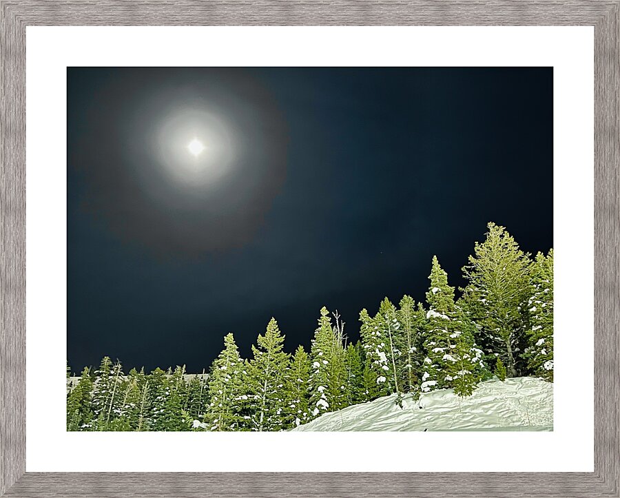 Moonlit Pines Picture Frame print