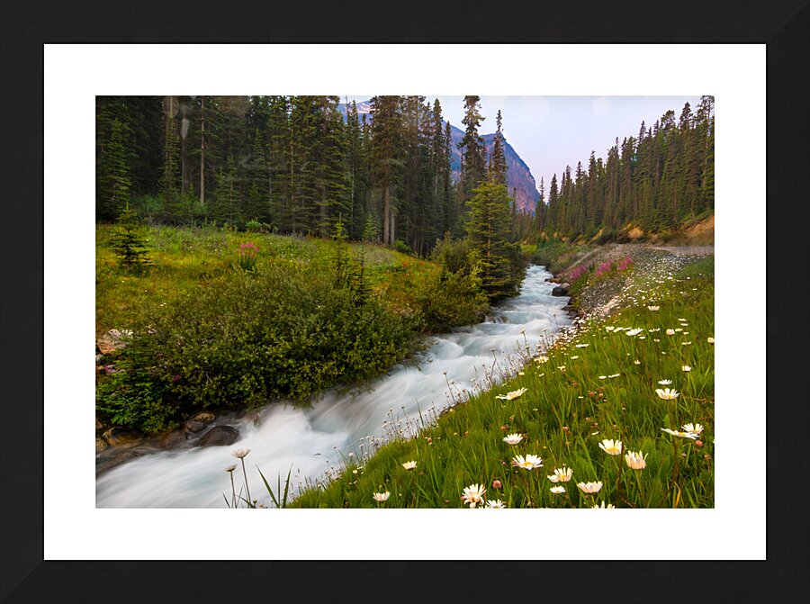 Moraine Stream Wildflower Display Picture Frame print