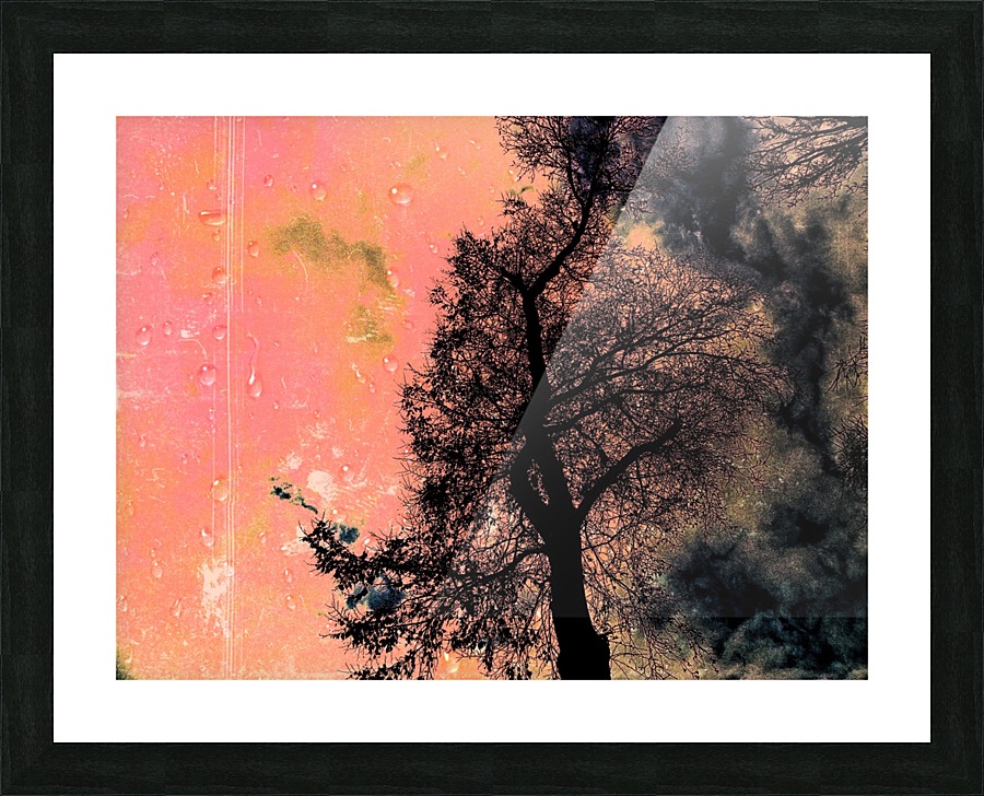 Magic Picture Frame print