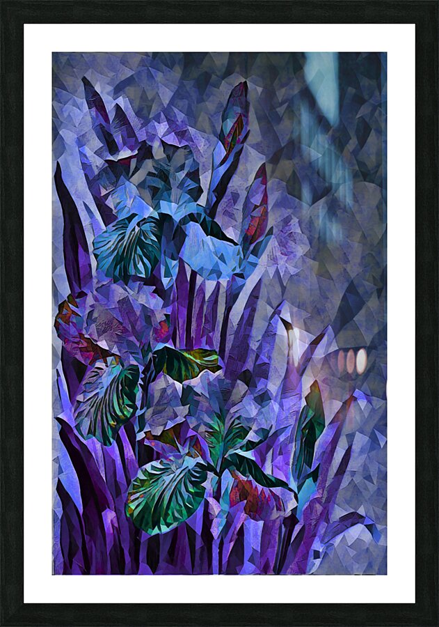  Fine Art print