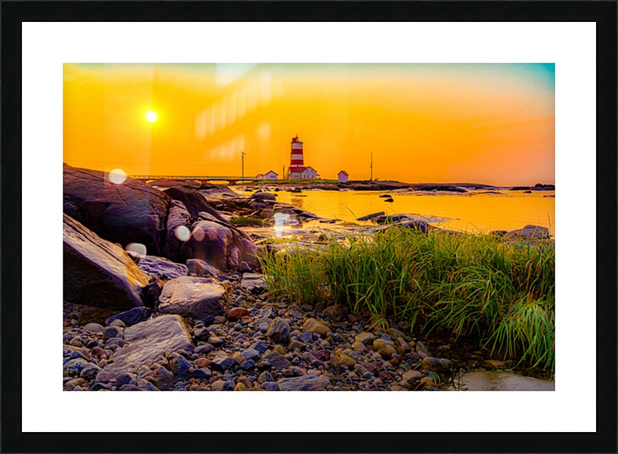  Fine Art print