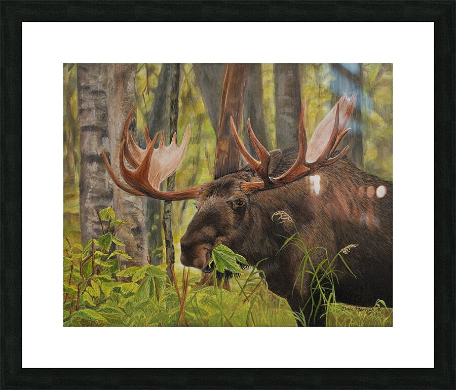 Munching Moose - Painting Picture Frame print