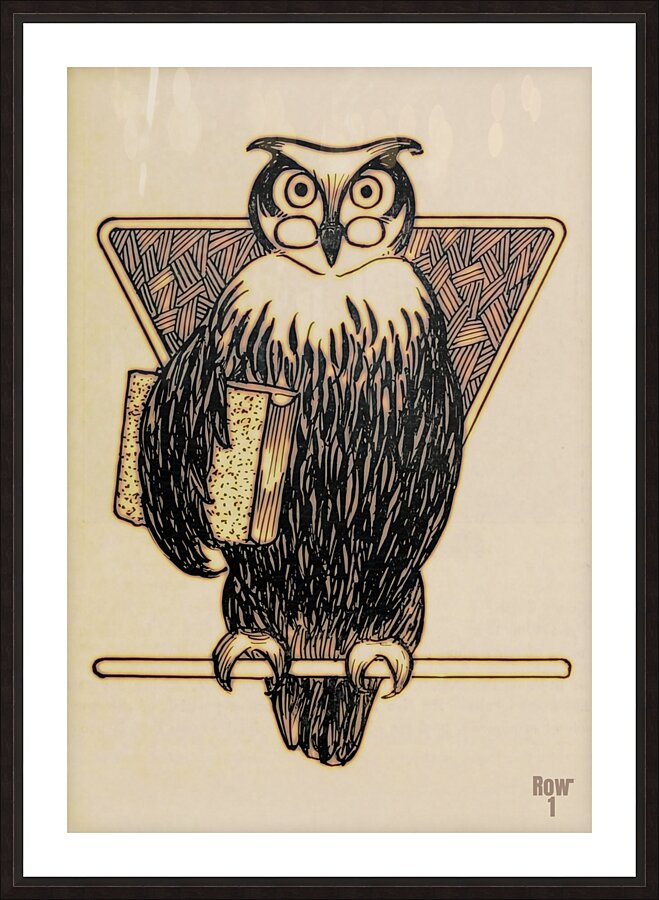 early 1900s owl with book row1 Picture Frame print