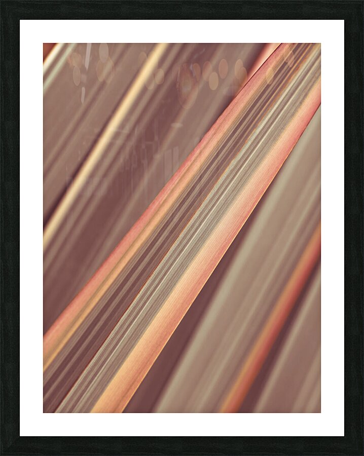 Full Frame leaves Picture Frame print