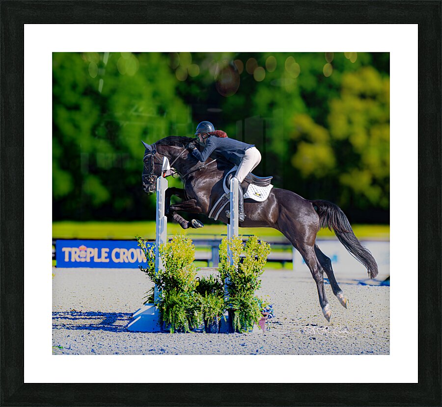 BZ9 0994 Enhanced NR Picture Frame print