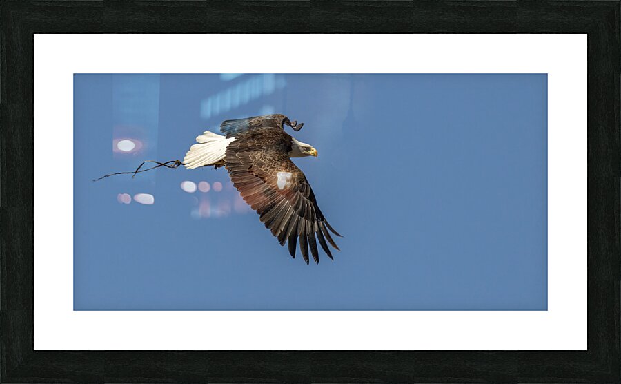 Trailing Picture Frame print