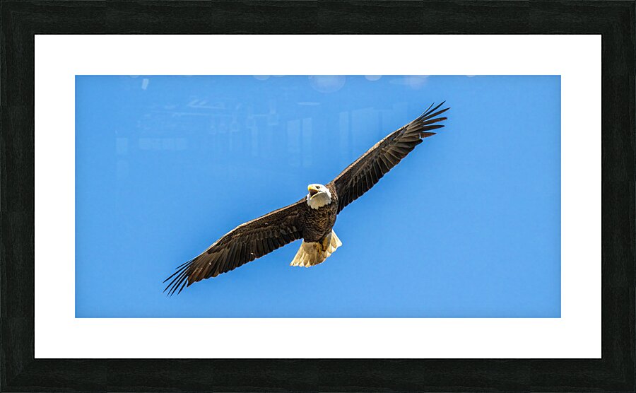 DSC 5110 Picture Frame print