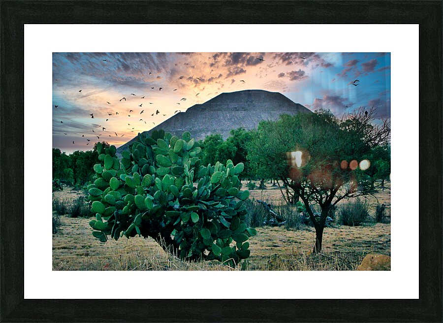 Mayan TEmple Picture Frame print