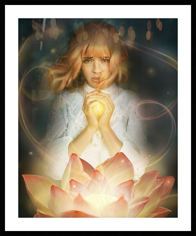 The Light of the Lotus Picture Frame print