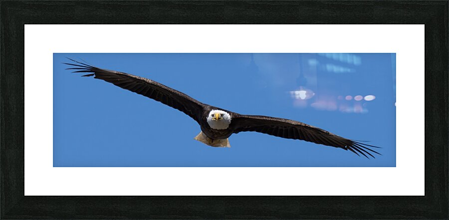 Eyes on  Picture Frame print