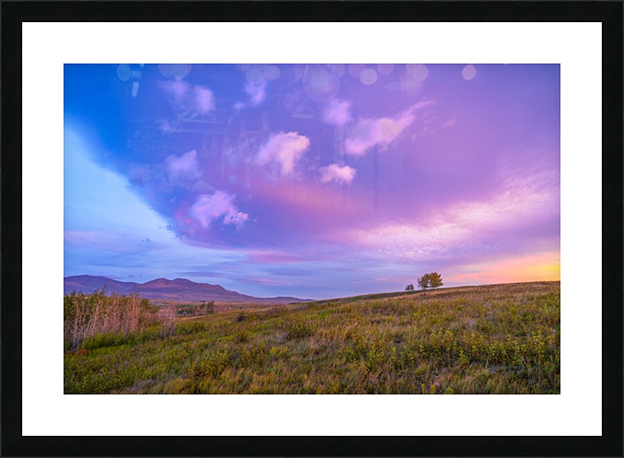  Fine Art print