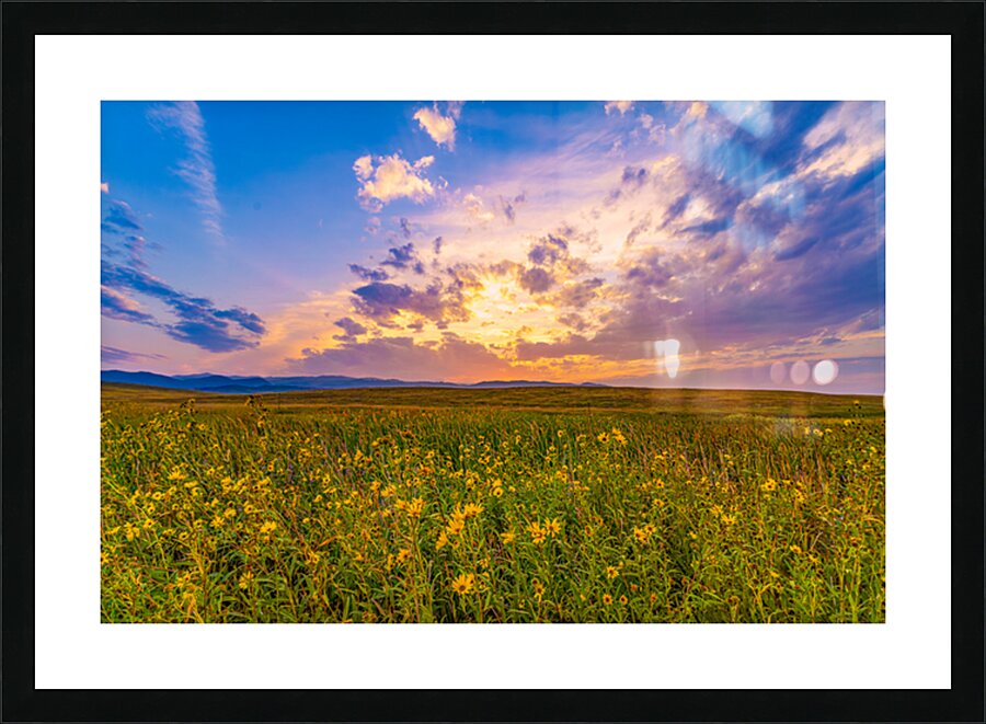  Fine Art print