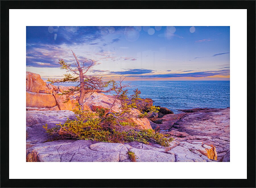 Arcadia Sunset Picture Frame print