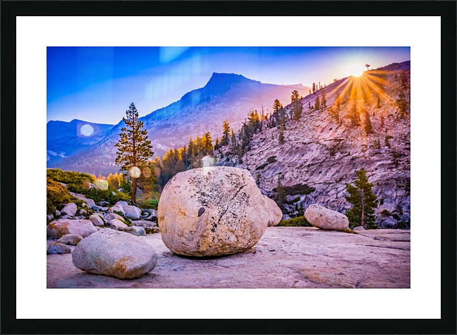  Fine Art print