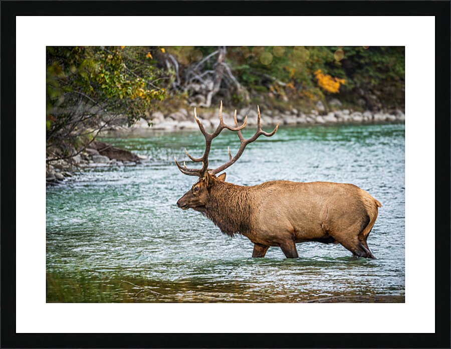  Fine Art print