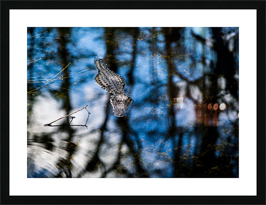 Quite Strength Picture Frame print