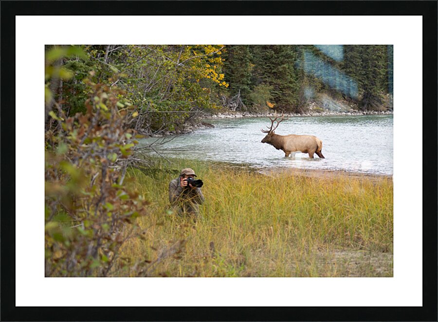  Fine Art print