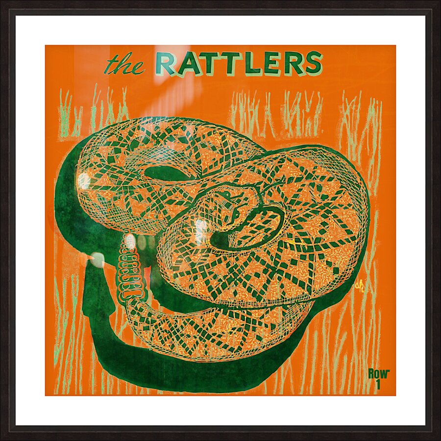 vintage florida am rattlers art  Picture Frame print