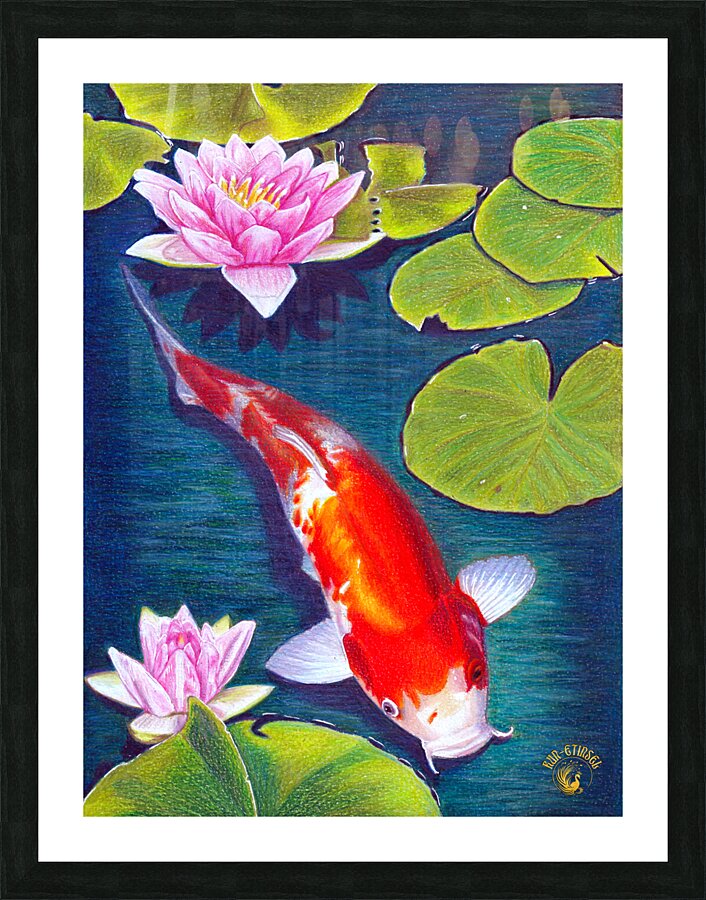 Carpe Koi Picture Frame print