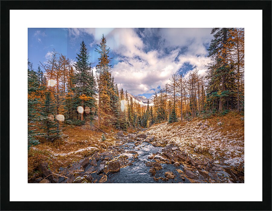 Fine Art print