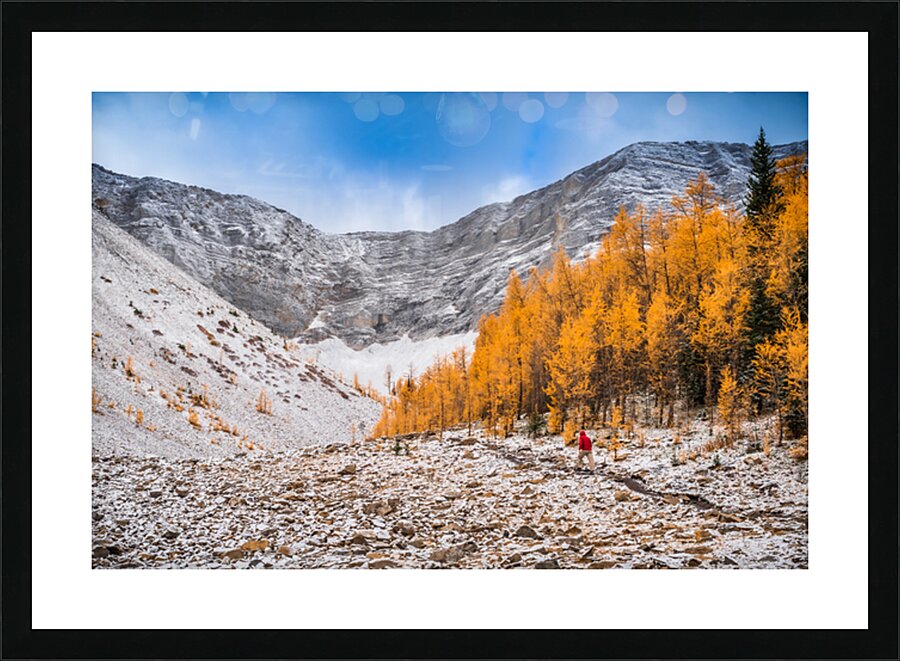 Larch Valley Picture Frame print