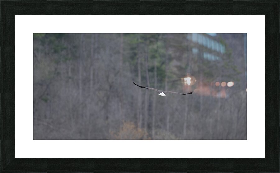 Flying Off Picture Frame print